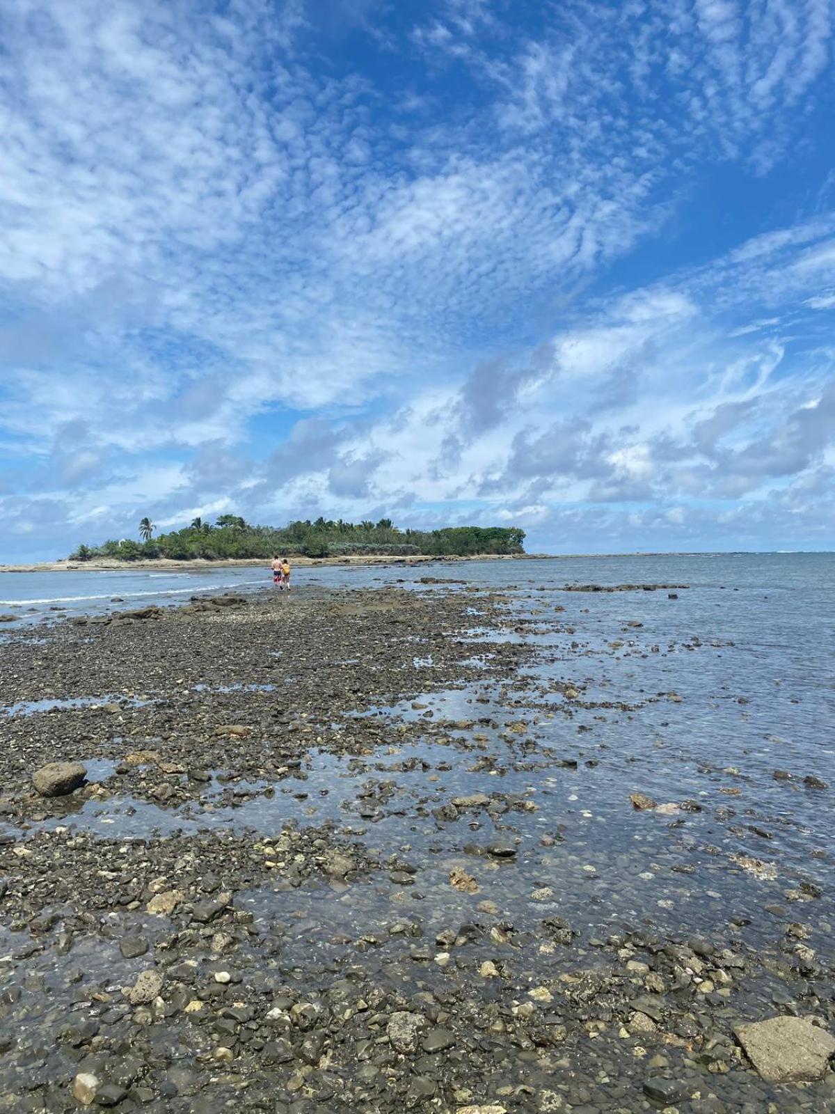 Cabuya Deer House Cabuyaアパートメント エクステリア 写真